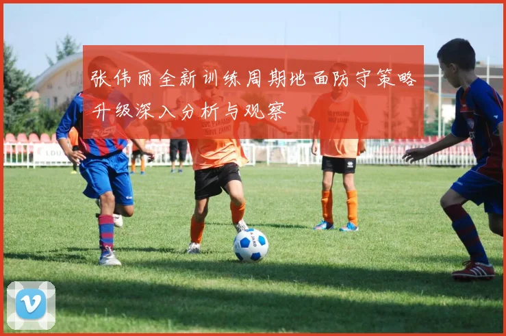 张伟丽全新训练周期地面防守策略升级深入分析与观察