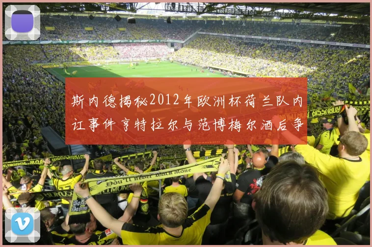 斯内德揭秘2012年欧洲杯荷兰队内讧事件亨特拉尔与范博梅尔酒后争执内幕